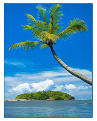 International Deals - Montego Bay