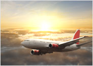 Flight Deals under $299