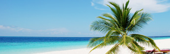 Limited Time Peak Season Fare Sale, Book Now