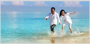 Fly from $96 Roundtrip