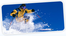 Click to view the deals
