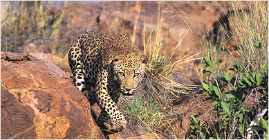 BIG Savings on Nature & Wildlife Travel Deals