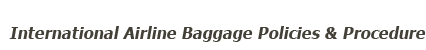 International airline baggage policies and procedure