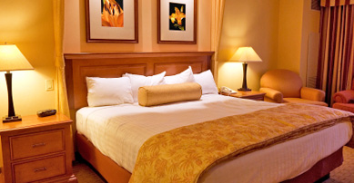 BIG Savings on Hotel Reservations and Rooms