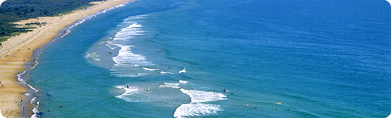 Book Cheap Flights to North Carolina