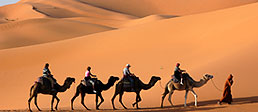 Africa / Middle East