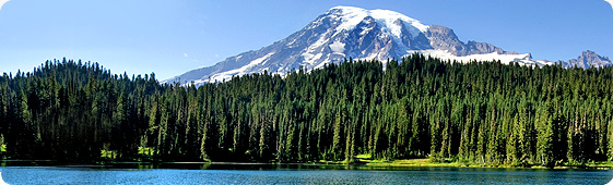 Book Cheap Flights to Washington