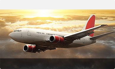 Flight Deals under $299
